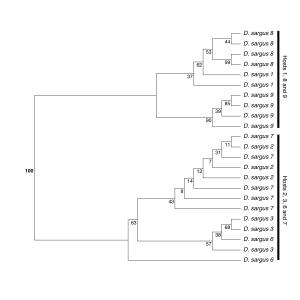 Fig4 Fig4