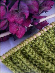 EN COURS ...Les couleurs de l'Automne n'ont pas fini de n... DSCF1403