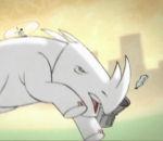 vidéo born in captivity rhinocéros blanc humour