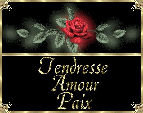 Marche pour la non violence dans le monde paix.gif paix image by duchesse1961