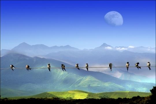 ligne-pure-lhorizon-heather-dohollau-L-1.jpeg