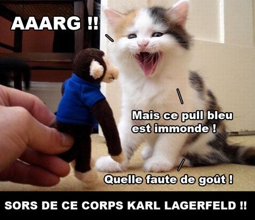 Quelques personnages clichés du cinéma et de la télévision Chat Karl Lagerfeld