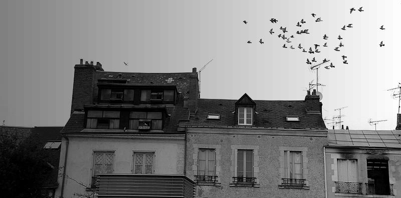 Aérodrome de Saint Denis de l'Hotel...j'ai gardé mes yeux d'enfants pour voir voler les avions