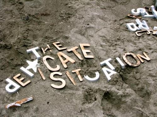 thedelicatesituation thedelicatesituation