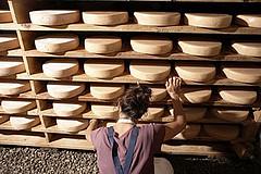 nature_terroir_fromagerie (45)