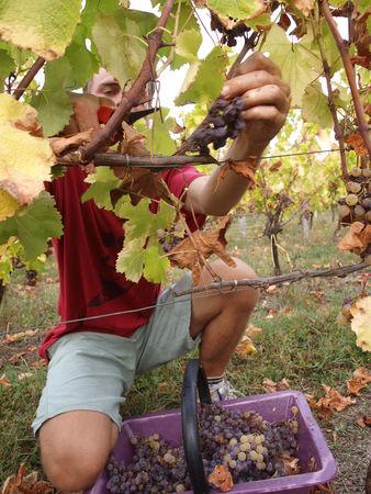 Même pas eu le temps de vous dire... 009