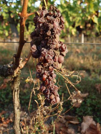 Même pas eu le temps de vous dire... 011