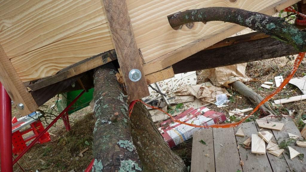Une cabane dans les arbres Cabane dans les arbres