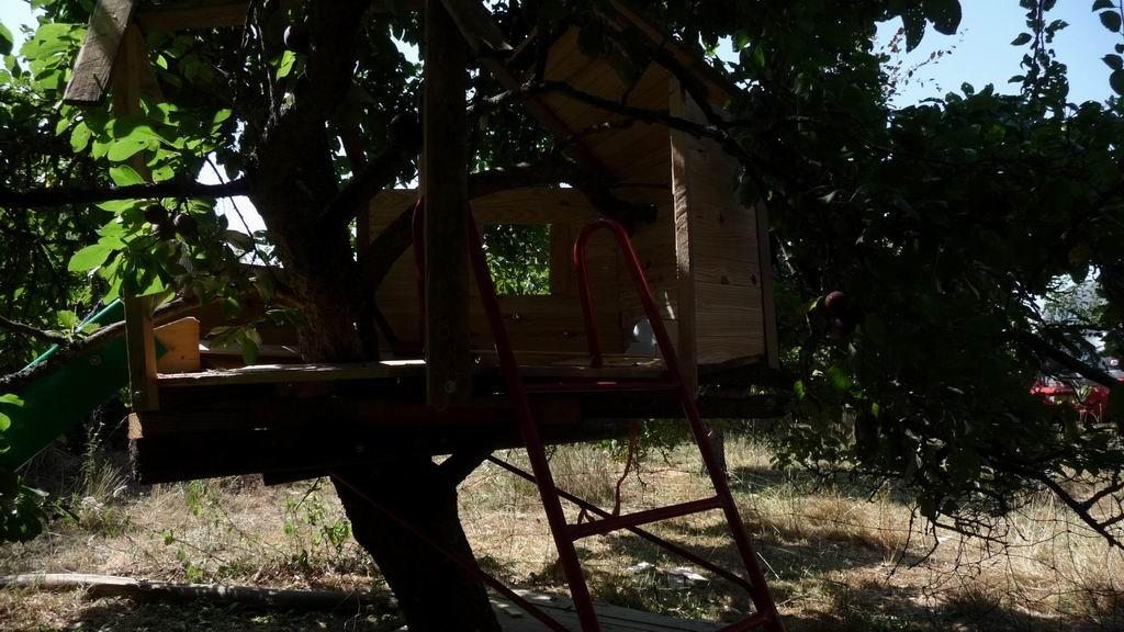 Une cabane dans les arbres Cabane dans les arbres