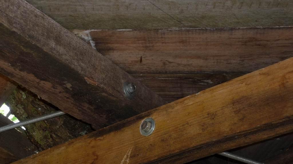 Une cabane dans les arbres Cabane dans les arbres