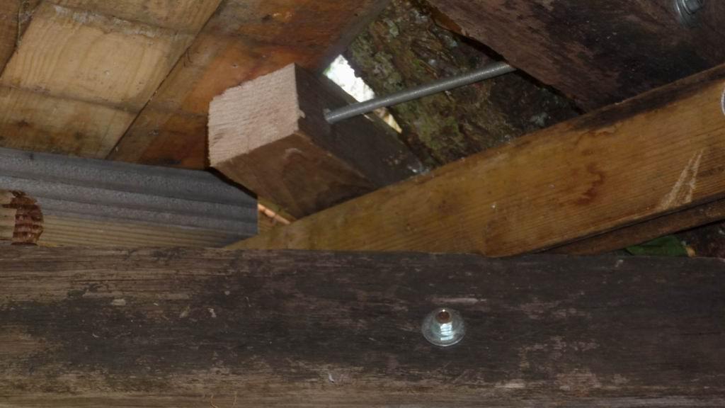 Une cabane dans les arbres Cabane dans les arbres