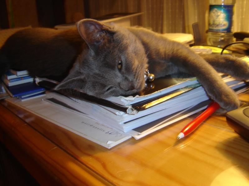 Je te garde à loeil... Vie quotidienne à Iriwal :) (4)