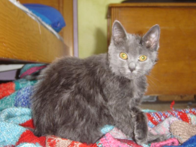 Un bain...quelle idée ! Vie quotidienne à Iriwal :) (4)