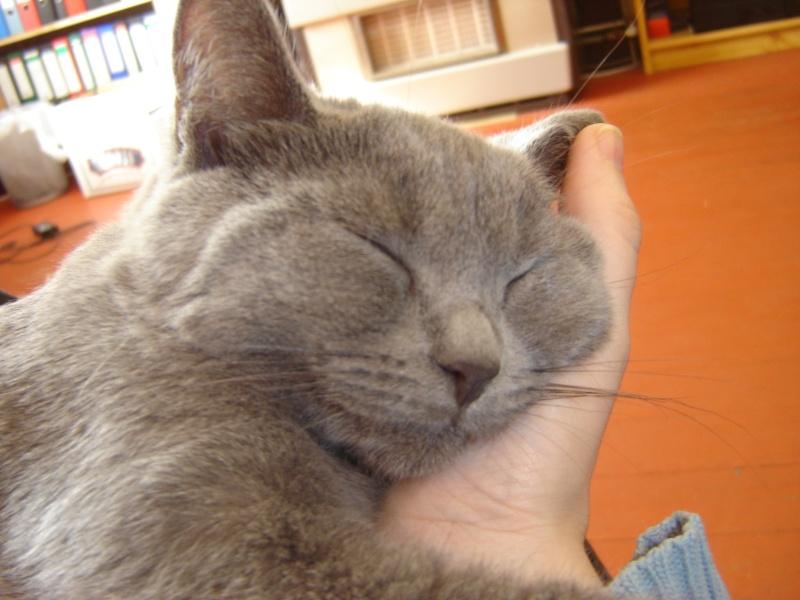 Hmmm...ça va , tu es pardonnée :) Vie quotidienne à Iriwal :) (4)