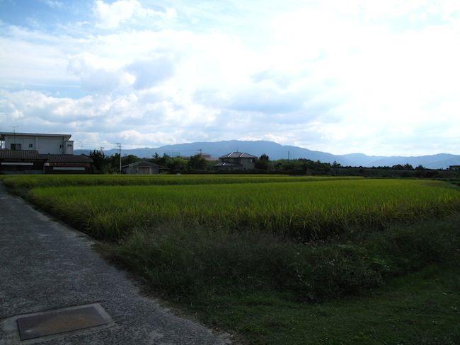 Carnet de voyage de Shikoku #2 IMG_2415
