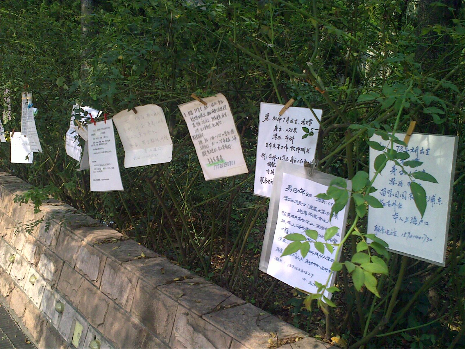 shanghai-matrimonial shanghai-matrimonial