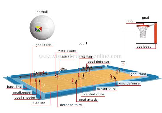 Basic-Volley à Bercy