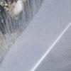 ..Le tapis de plumes Franck Chambrun