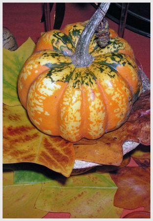 ~~Table citrouille~~ Adobe12