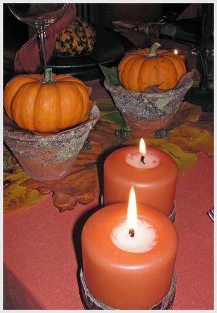 ~~Table citrouille~~ Adobe16