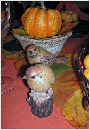 ~~Table citrouille~~ Adobe19