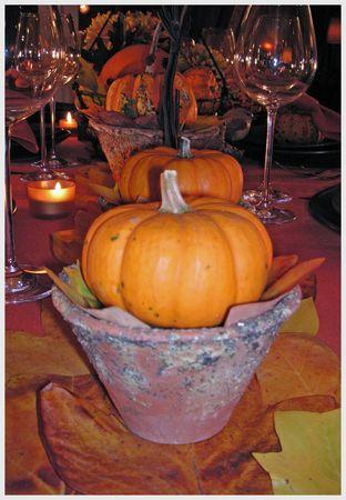 ~~Table citrouille~~ Adobe24