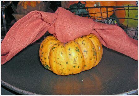 ~~Table citrouille~~ Adobe29