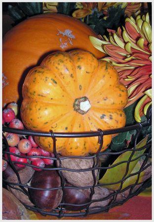 ~~Table citrouille~~ Adobe32