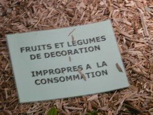 GROSSE INFO - Crise alimentaire - La faim dans le monde, ça ne parle pas trop aux Français et aux Mulhousiens ! suite ... P1270068