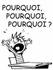 pourqoui.jpg