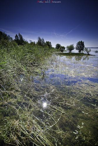 [Blog Action Day '09] - Un article pour la planète…