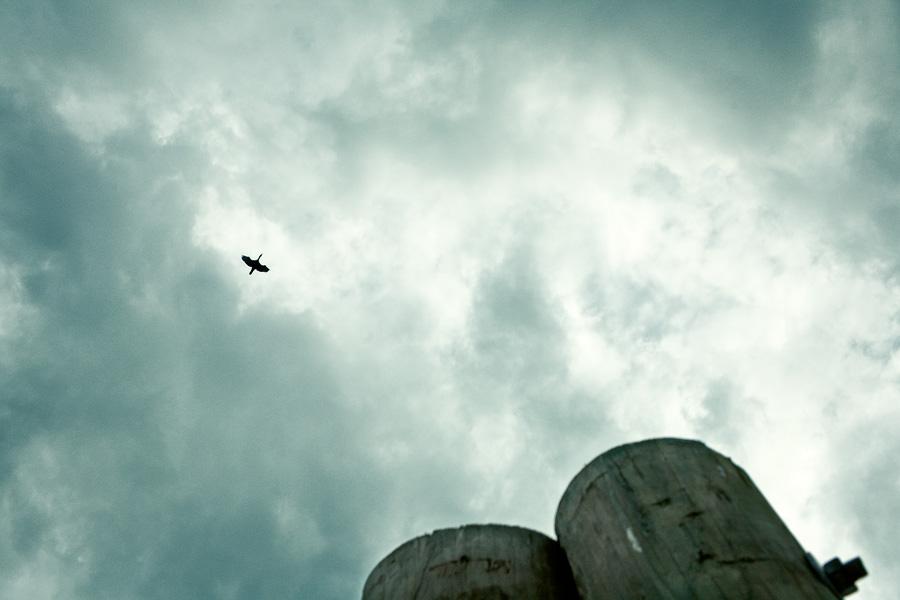 20091015.jpg