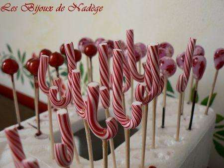 En cours de séchage et nouvelles canes P1130251