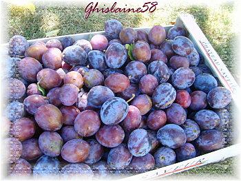 Confiture de Quetsches