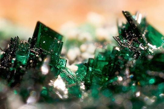 Des trésors dans la nature Des trésors dans la nature