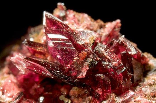 Des trésors dans la nature Des trésors dans la nature