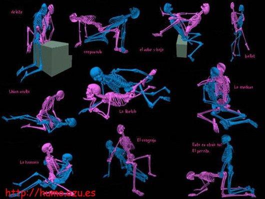 Kama sutra 