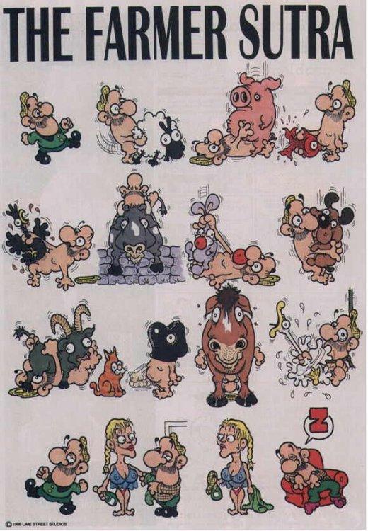 Kama sutra 