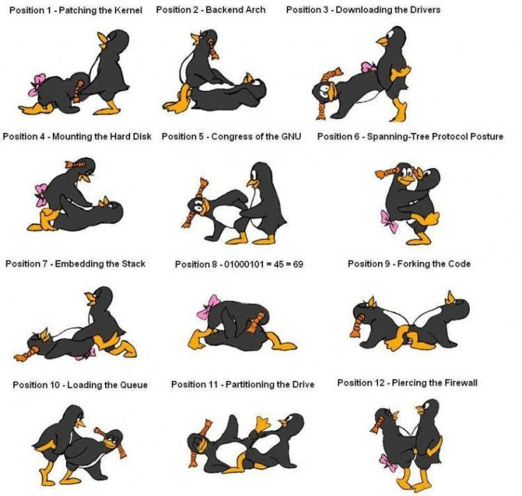 Kama sutra 