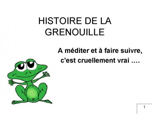 grenouille1.jpg
