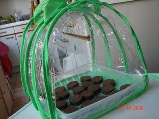 Jardinier du dimanche Jardinier du dimanche