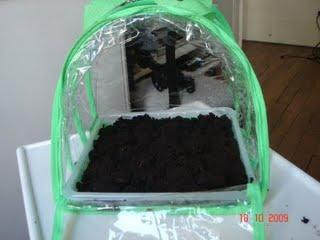 Jardinier du dimanche Jardinier du dimanche