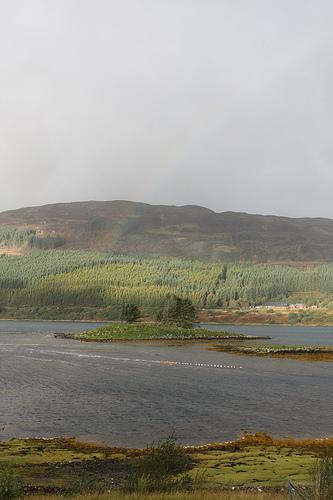 Skye and Rainbow