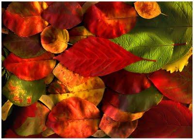 Séance 2 Club de lectures Séance 2 Club de lectures