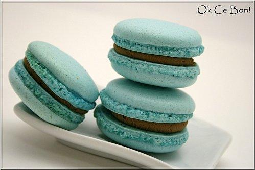 Macarons turquoise chocolat