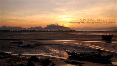 Made in Thaïlande Sunshine_Affection_02