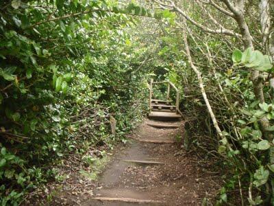 Jour 5 toujours: le Parque National Bosque Fray Jorge Jour 5 toujours: le Parque National Bosque Fray Jorge