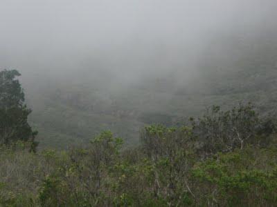 Jour 5 toujours: le Parque National Bosque Fray Jorge Jour 5 toujours: le Parque National Bosque Fray Jorge