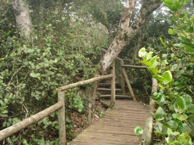 Jour 5 toujours: le Parque National Bosque Fray Jorge Jour 5 toujours: le Parque National Bosque Fray Jorge