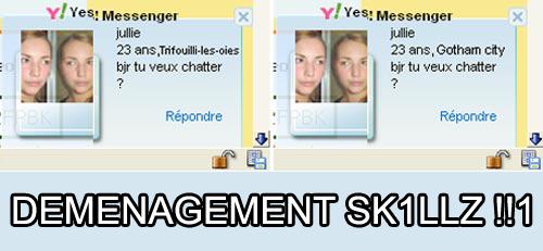 déménagement sk1llz